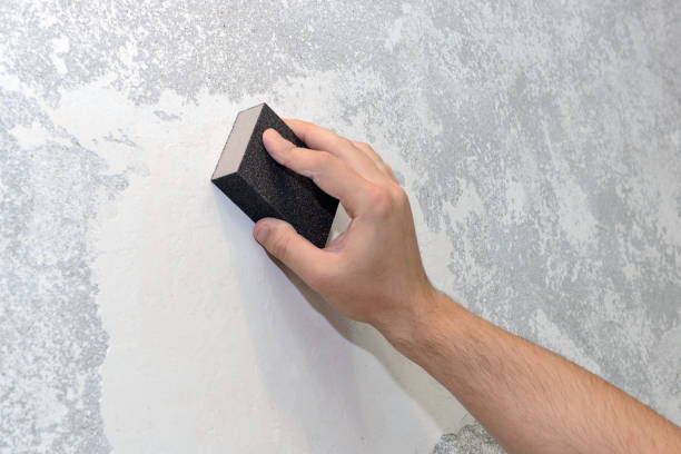 Best Black Mold Removal  in Wakefield, KS