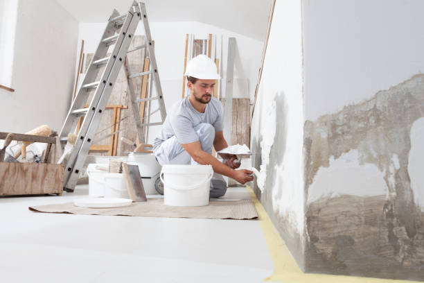 Best Post-Construction Mold Inspection  in Wakefield, KS
