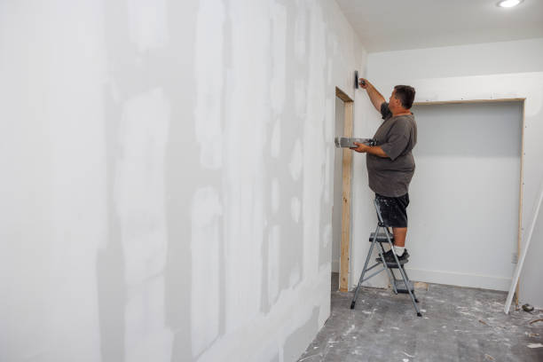 Best Industrial Mold Remediation  in Wakefield, KS