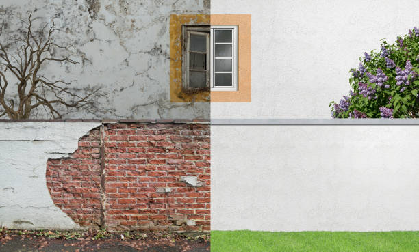 Best Mold Damage Restoration  in Wakefield, KS