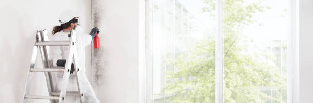 Best Biohazard Mold Removal  in Wakefield, KS